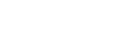Authentic Duck